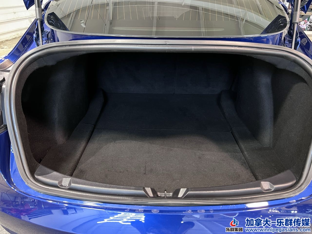 tesla_model3_7183a_19.jpg