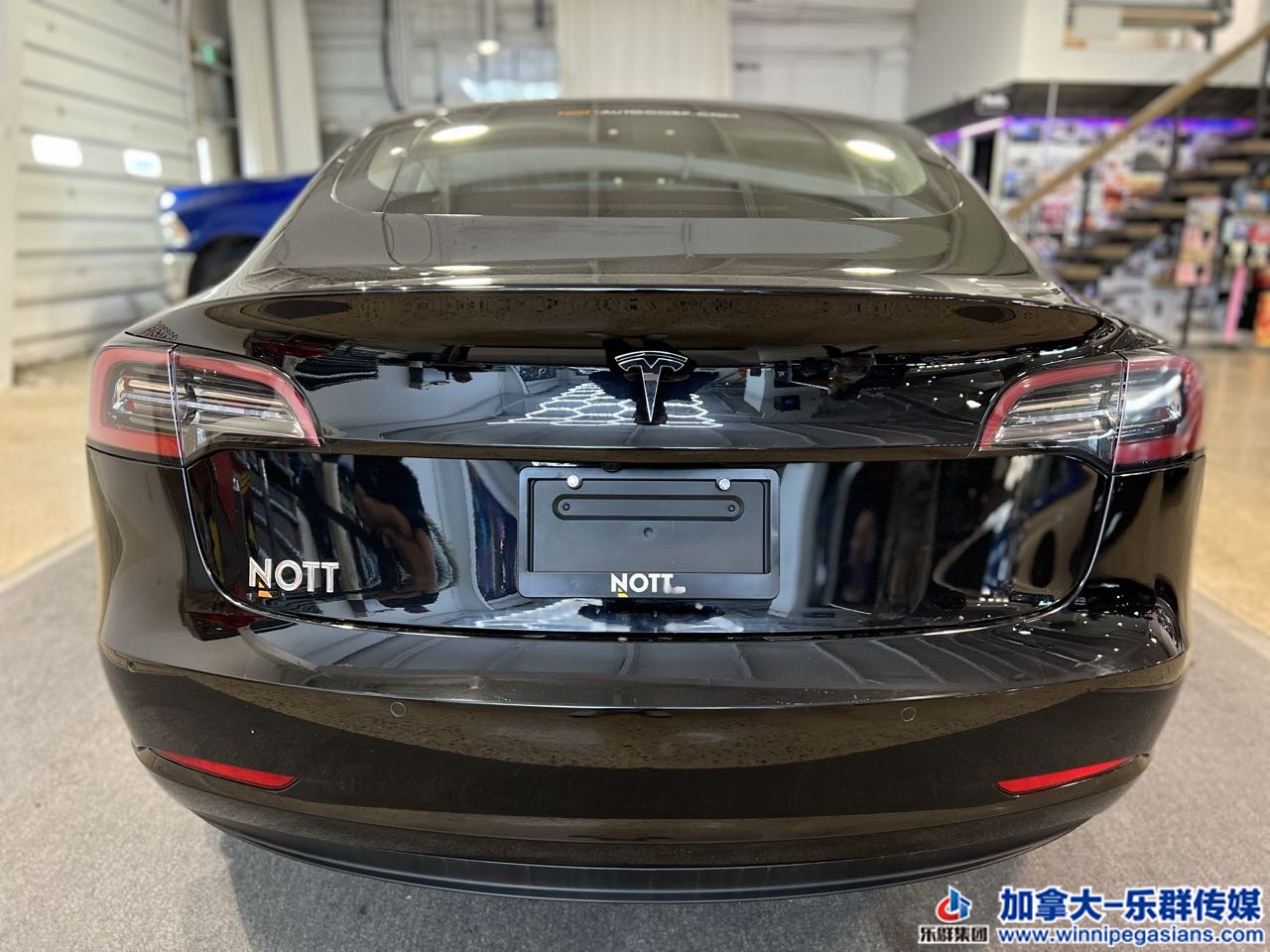 tesla_model3_7262_14.jpg