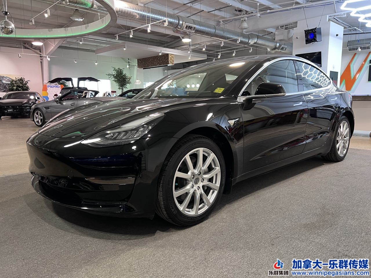 tesla_model3_7262_1.jpg