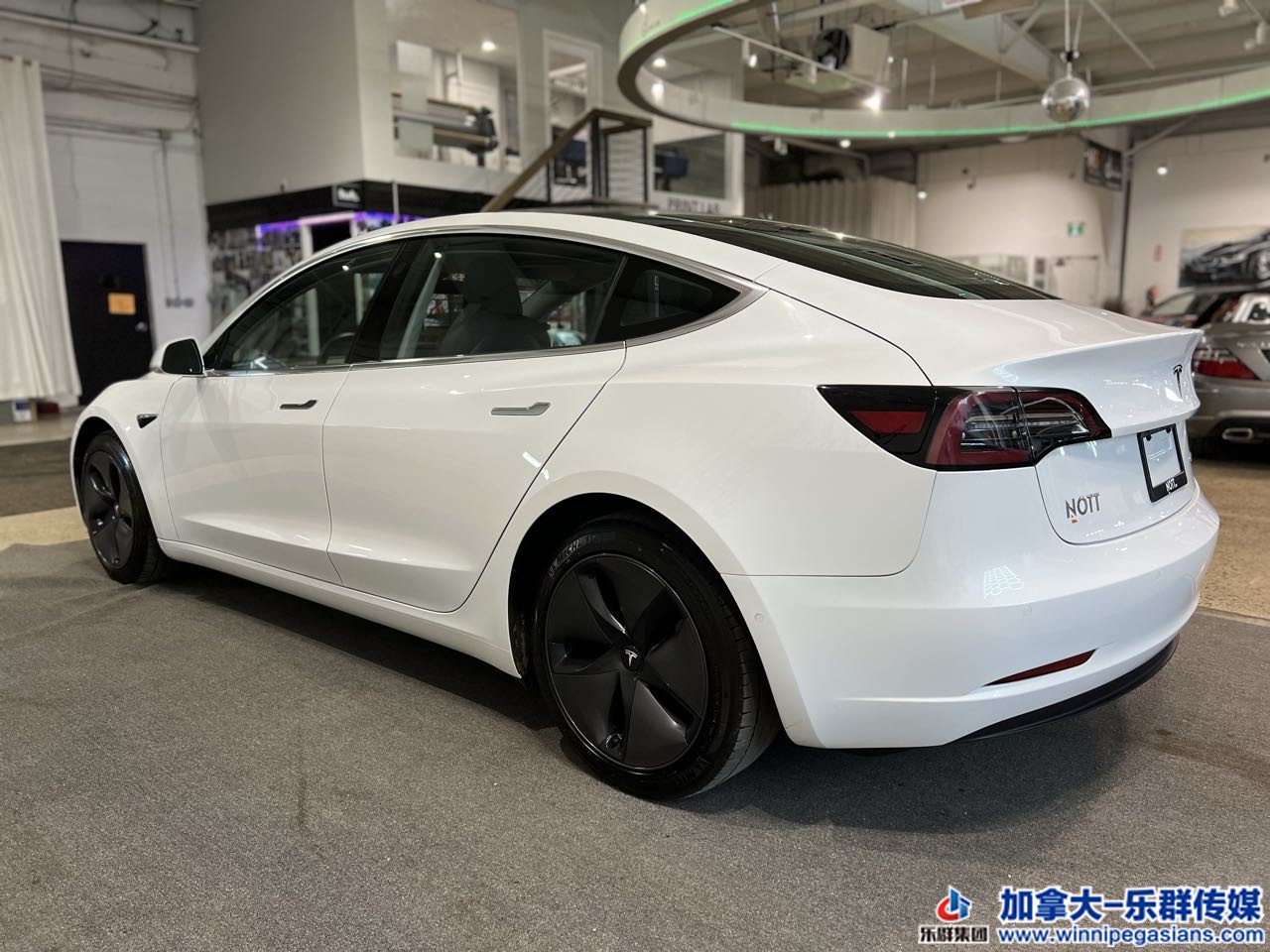 tesla_model3_7298_16.jpg