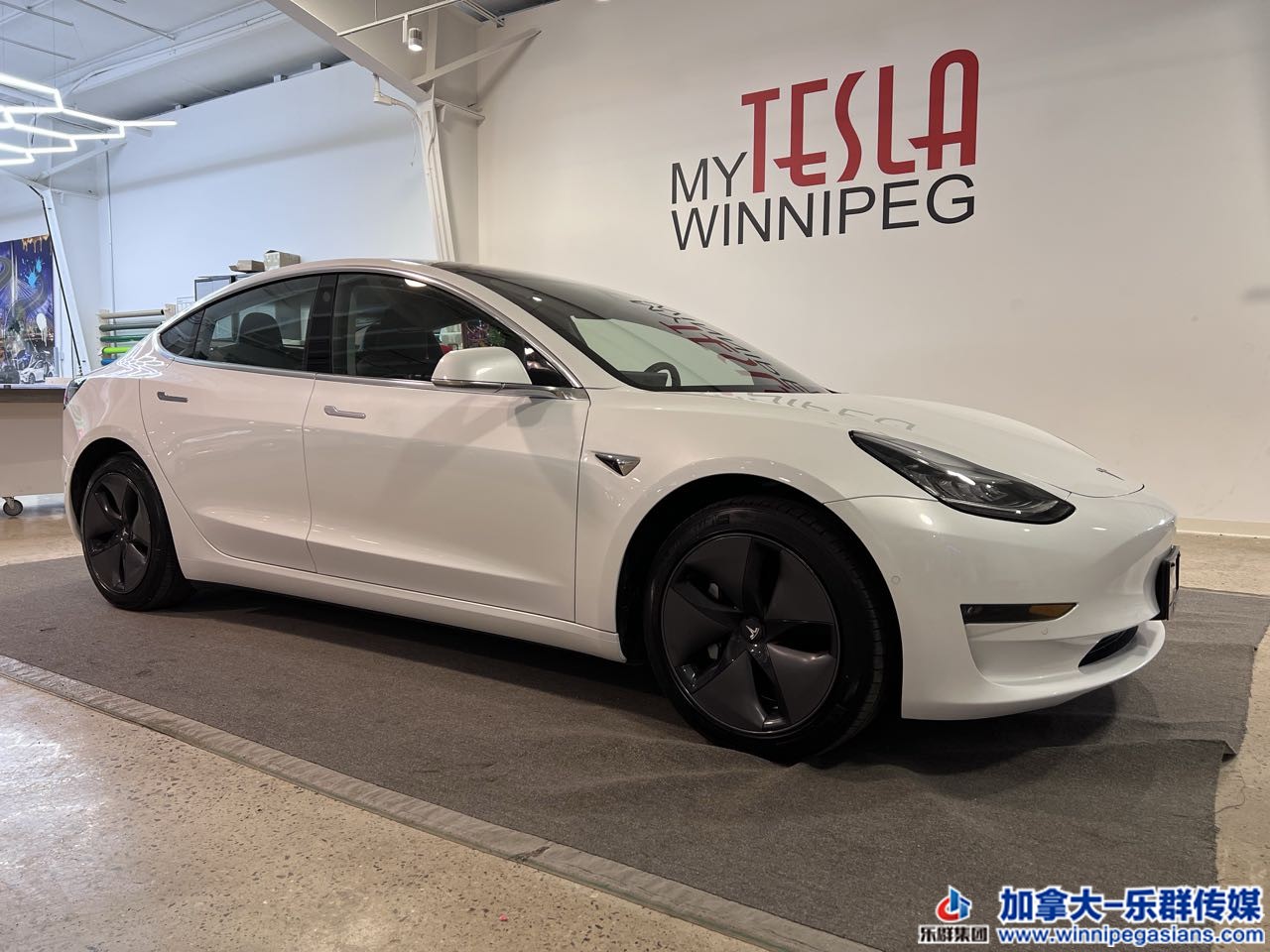 tesla_model3_7298_2.jpg