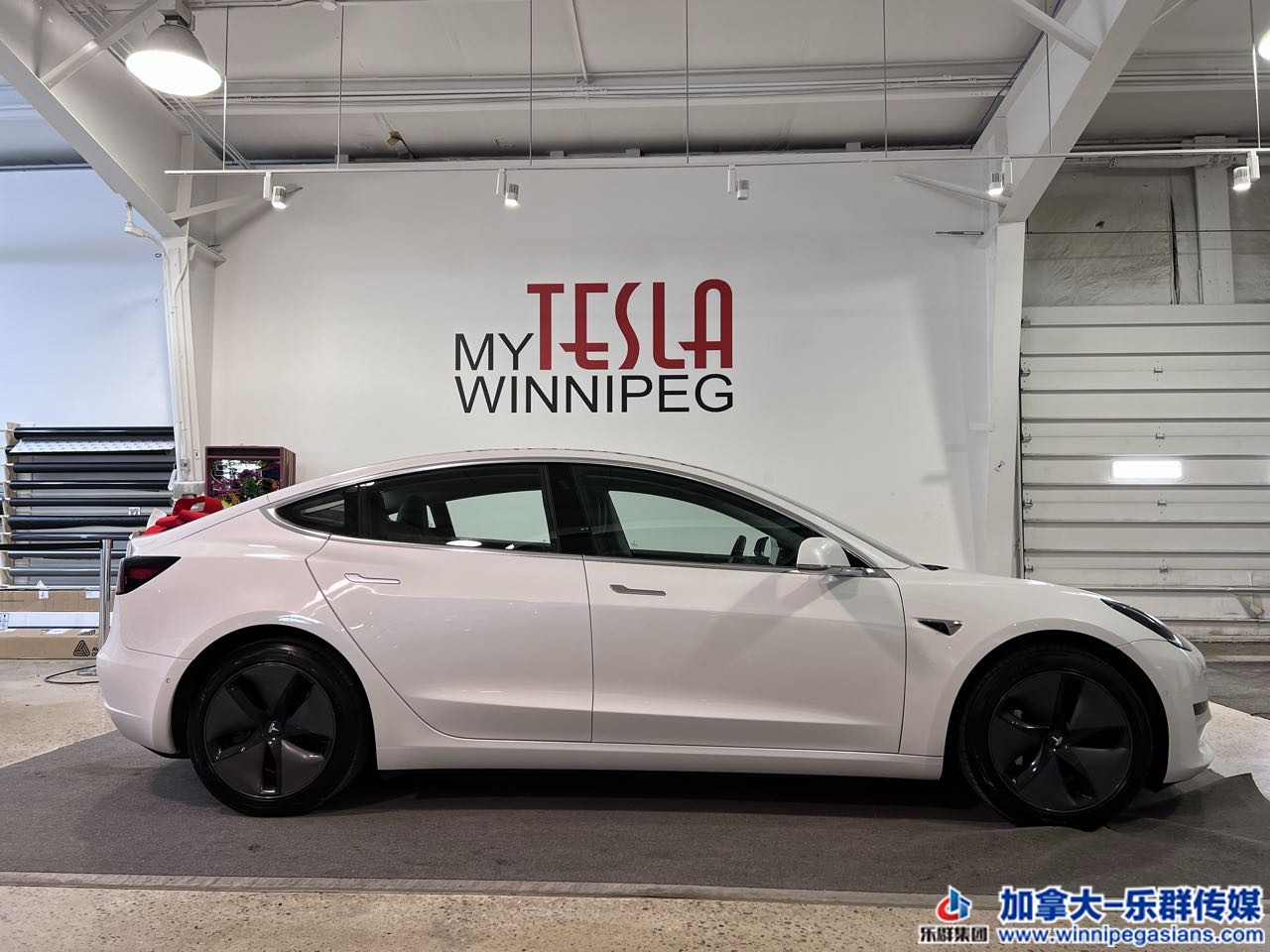 tesla_model3_7298_3.jpg