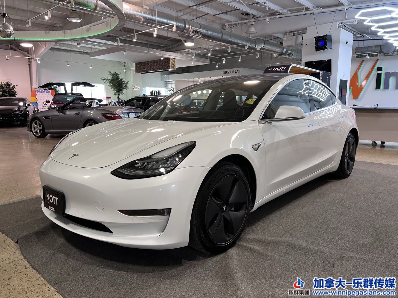 tesla_model3_7298_1.jpg