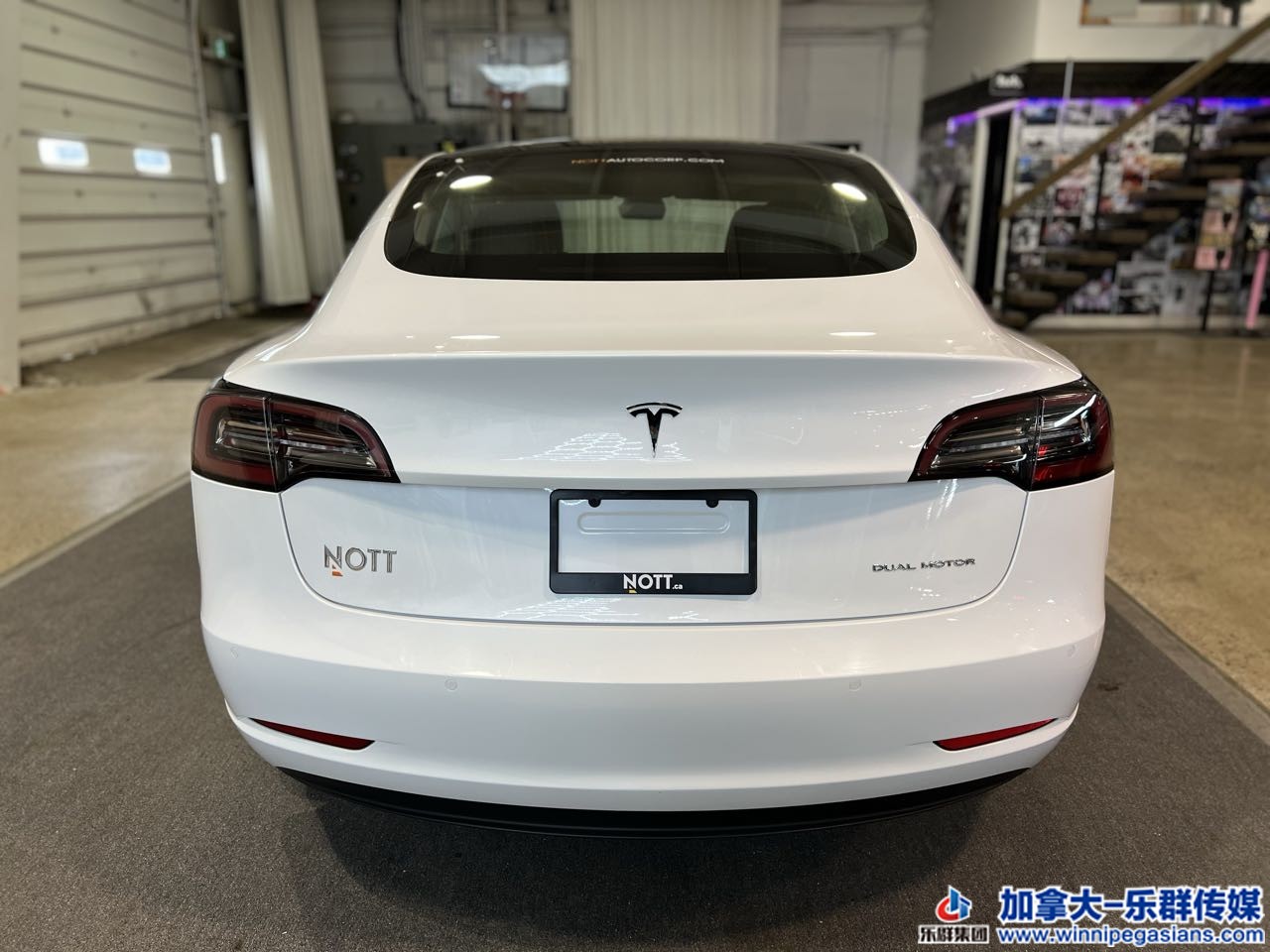 tesla_model3_7298_13.jpg