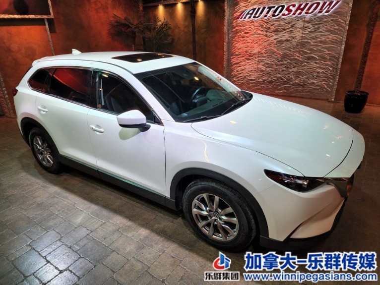 Used-2018-Mazda-CX-9-GS-L-AWD-Sunroof-Htd-Steering-Leather-!!-1649861671 (1).jpg