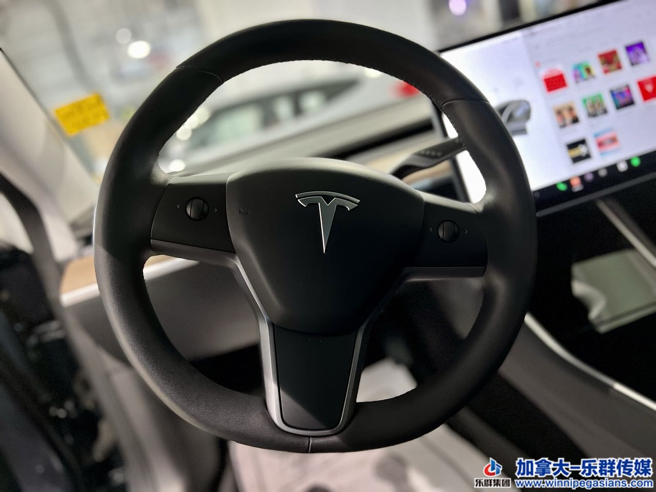 tesla_model3_7289_7.jpg