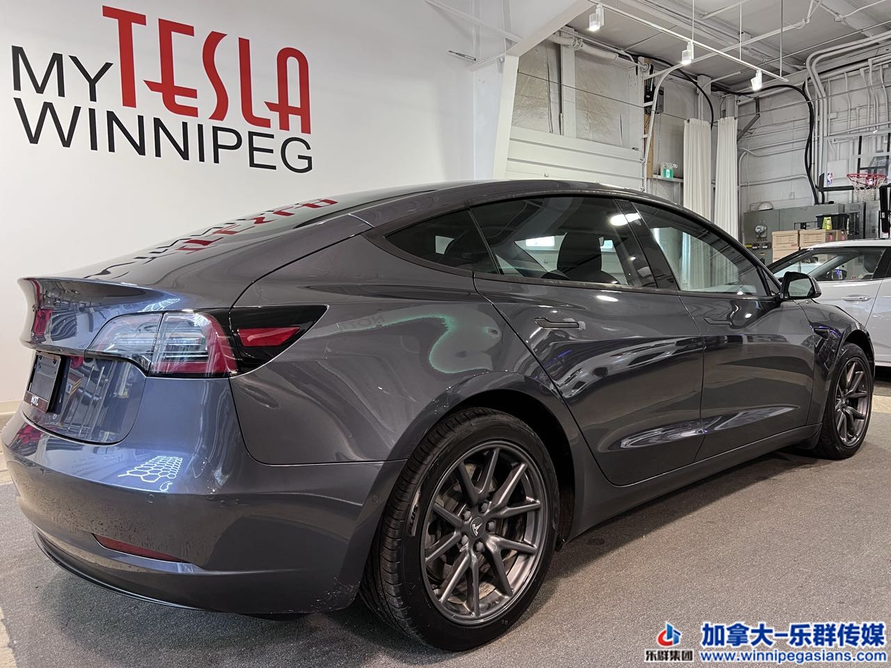 tesla_model3_7289_18.jpg