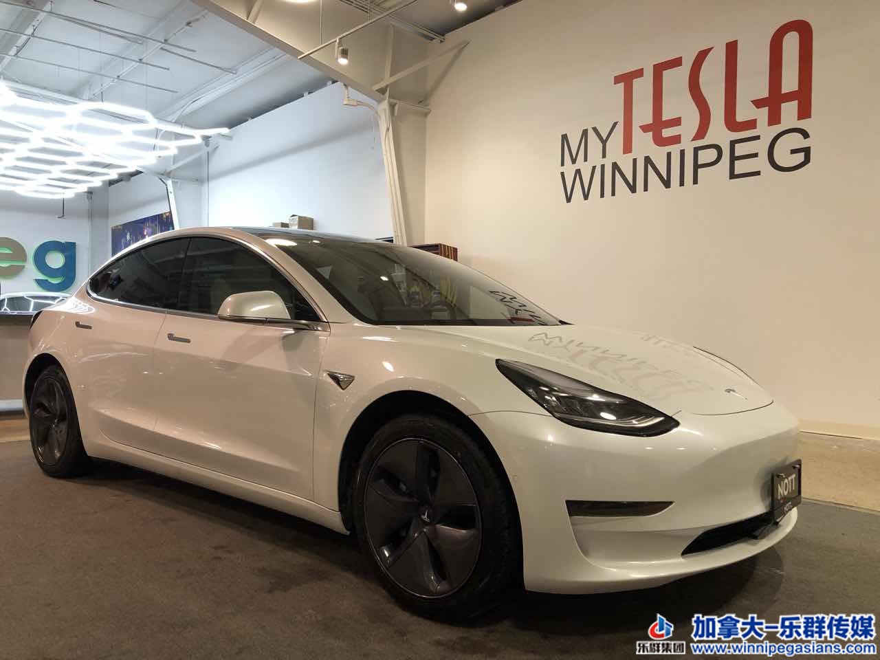 tesla_model3_7276_2.JPG