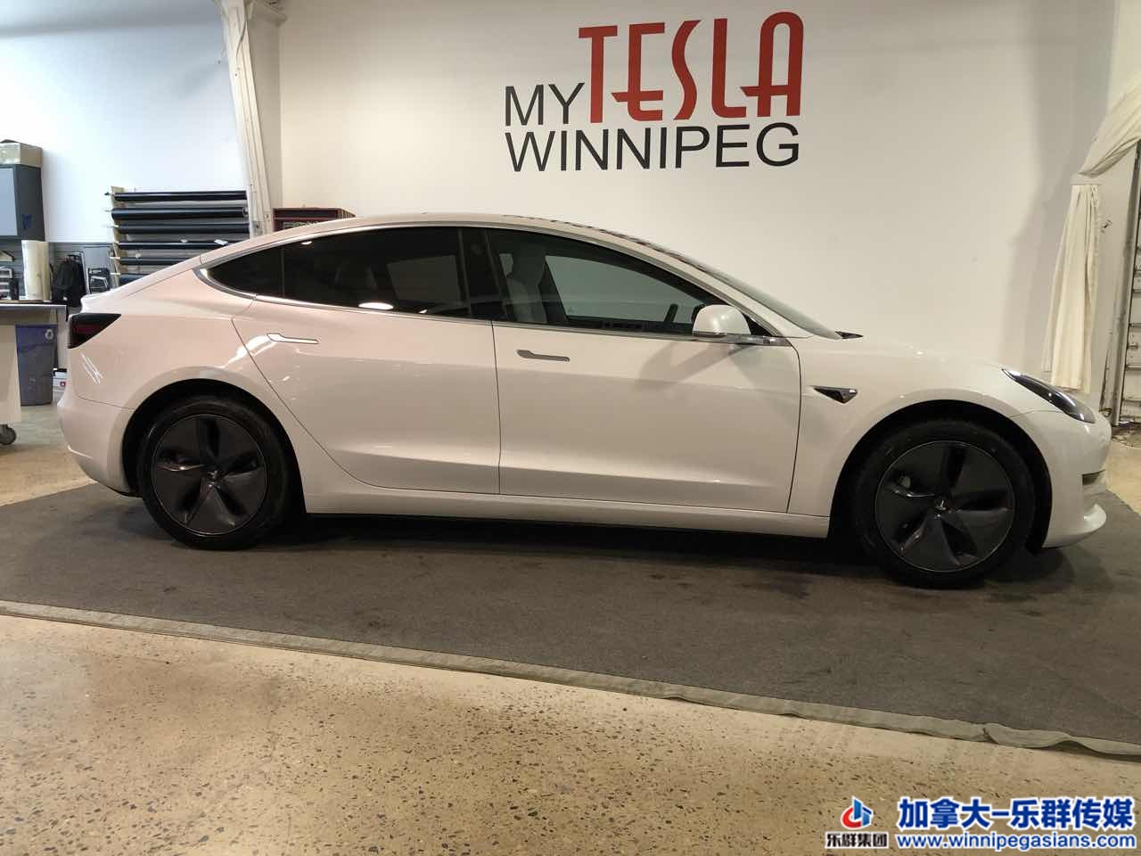 tesla_model3_7276_3.JPG