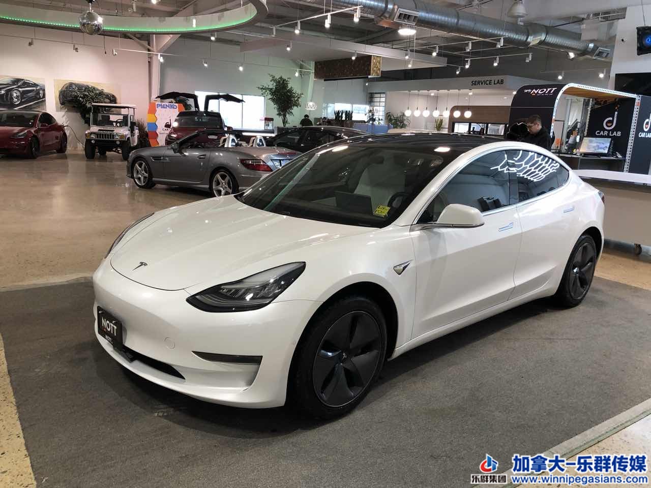 tesla_model3_7276_1.JPG