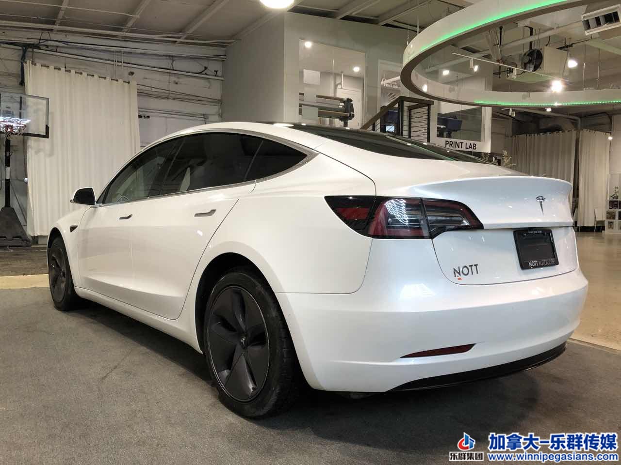 tesla_model3_7276_18.JPG