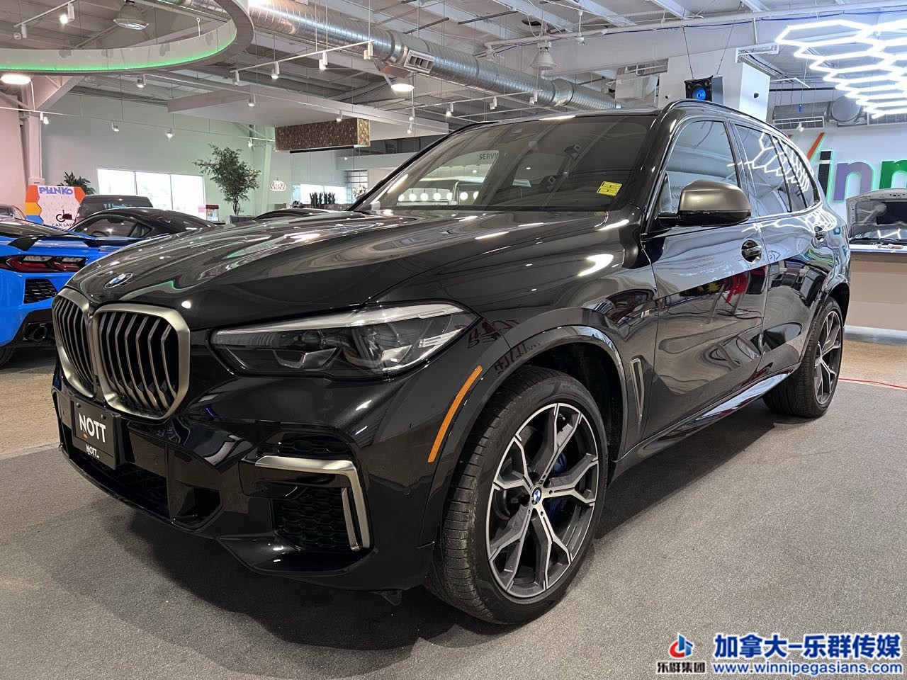 bmw_x5_7283_1.jpg