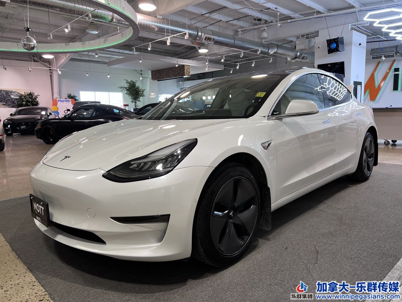 tesla_model3_7278_1.jpg