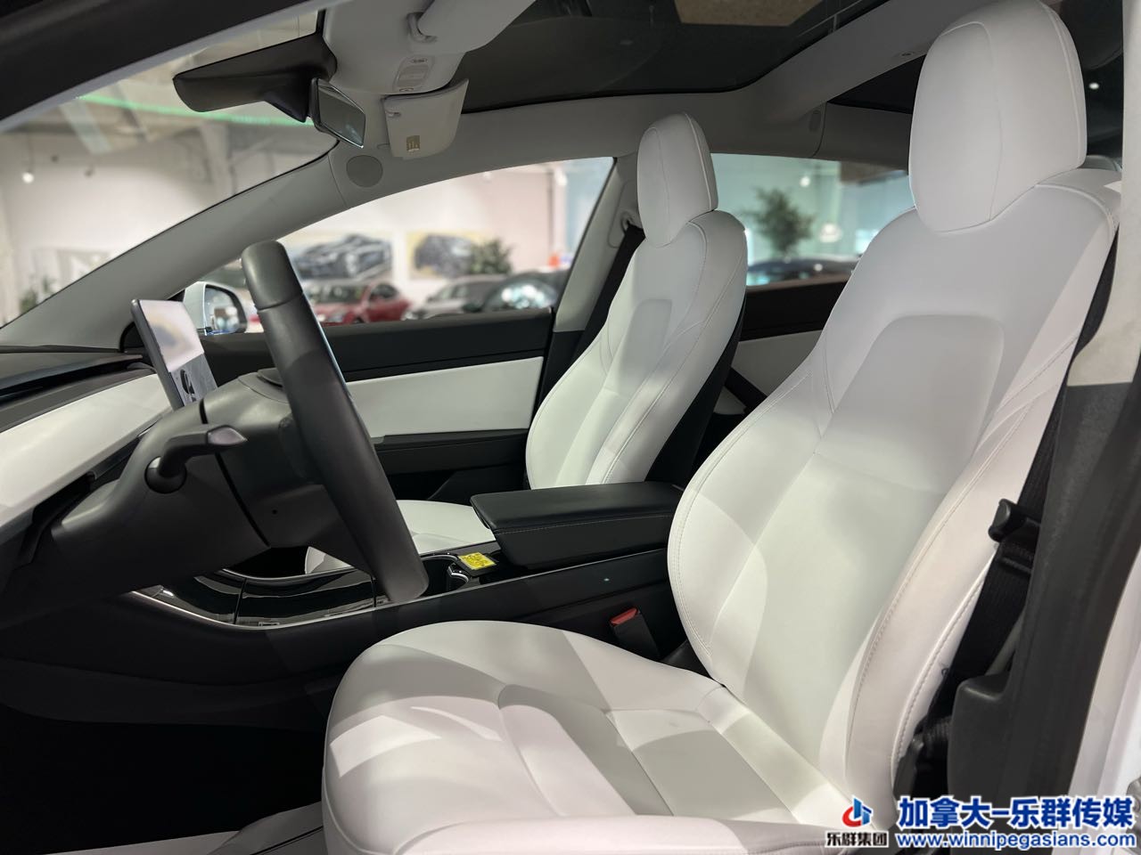 tesla_model3_7278_8.jpg