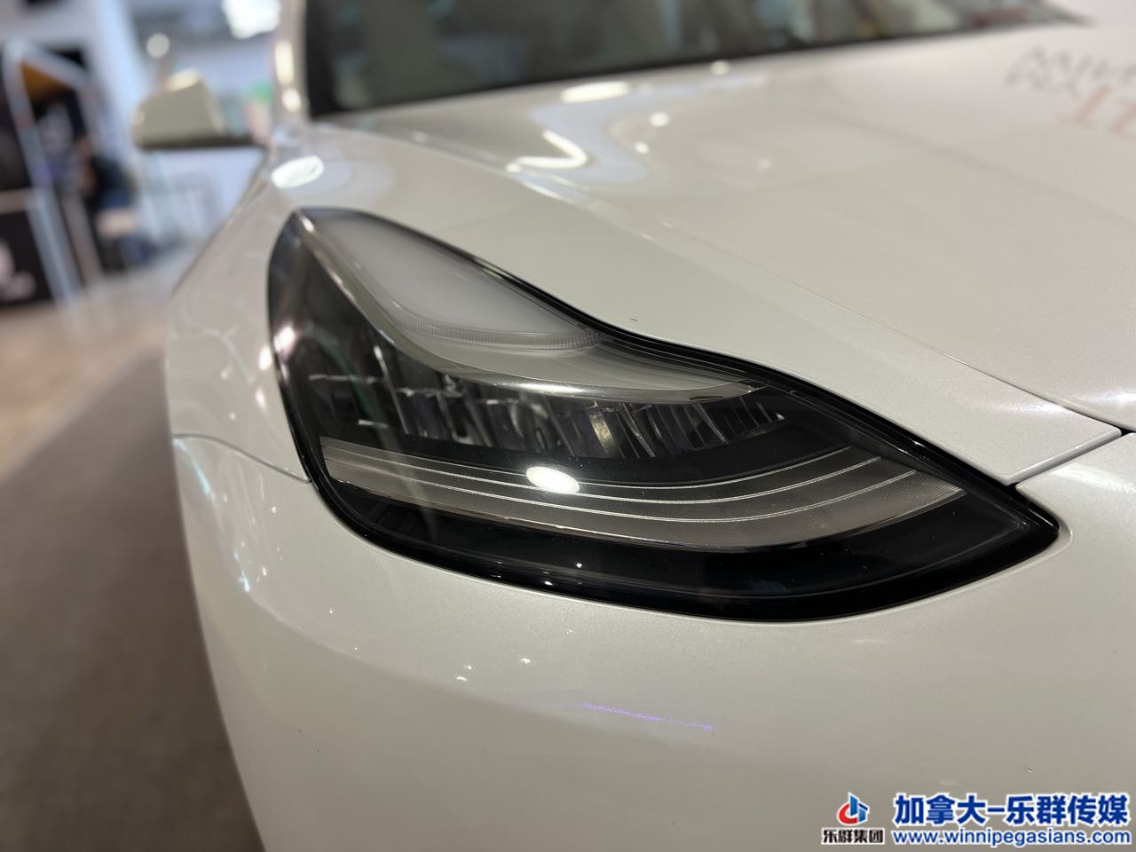 tesla_model3_7278_3.jpg