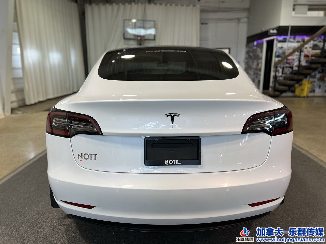 tesla_model3_7278_15.jpg