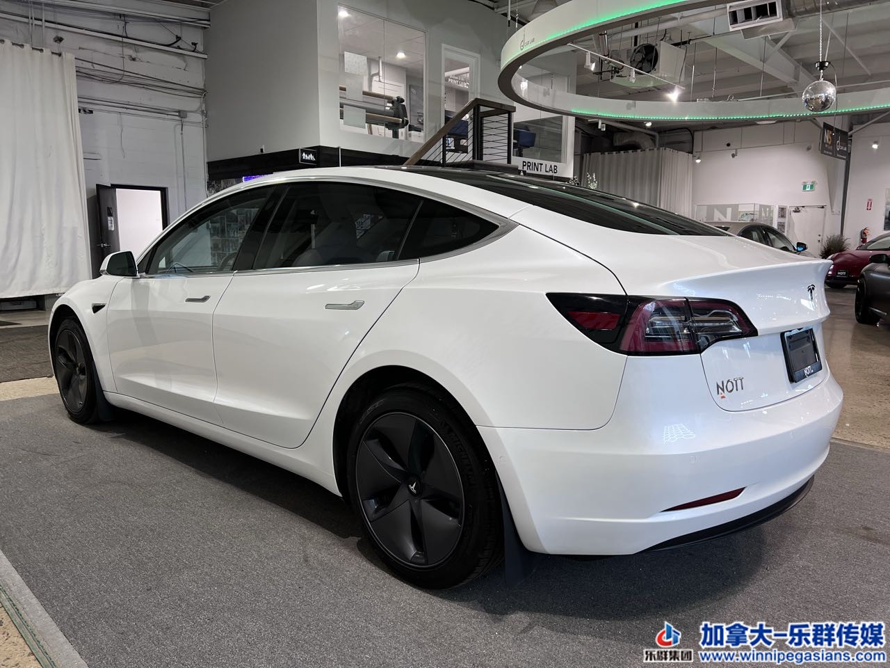 tesla_model3_7278_17.jpg