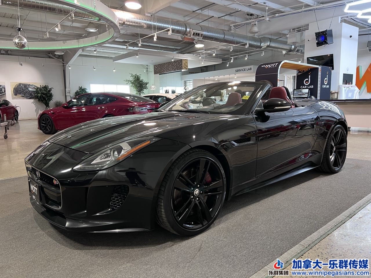 jaguar_ftype_7310_1.JPG