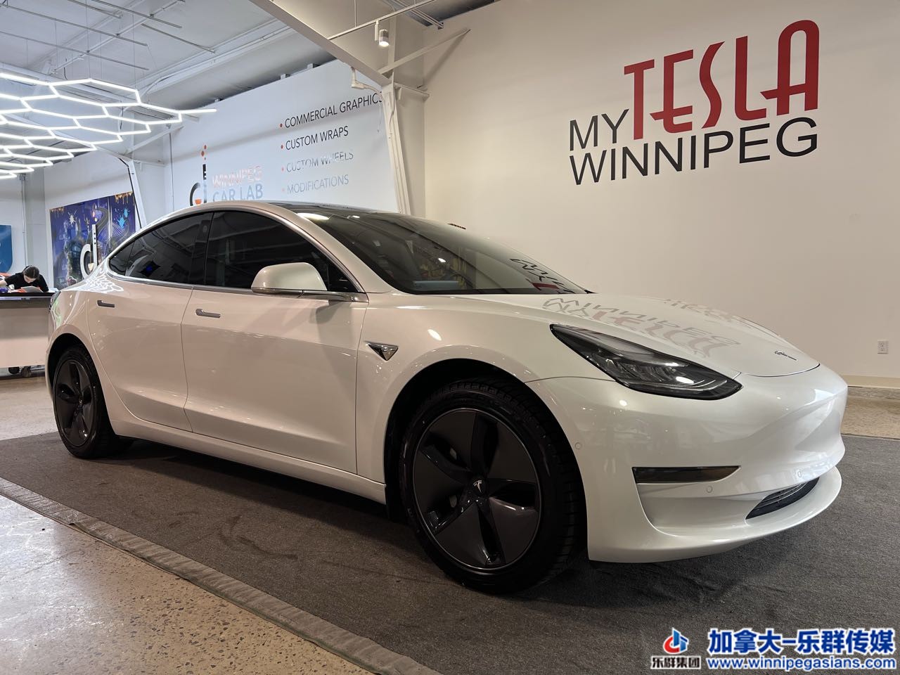 tesla_model3_7284_2.jpg