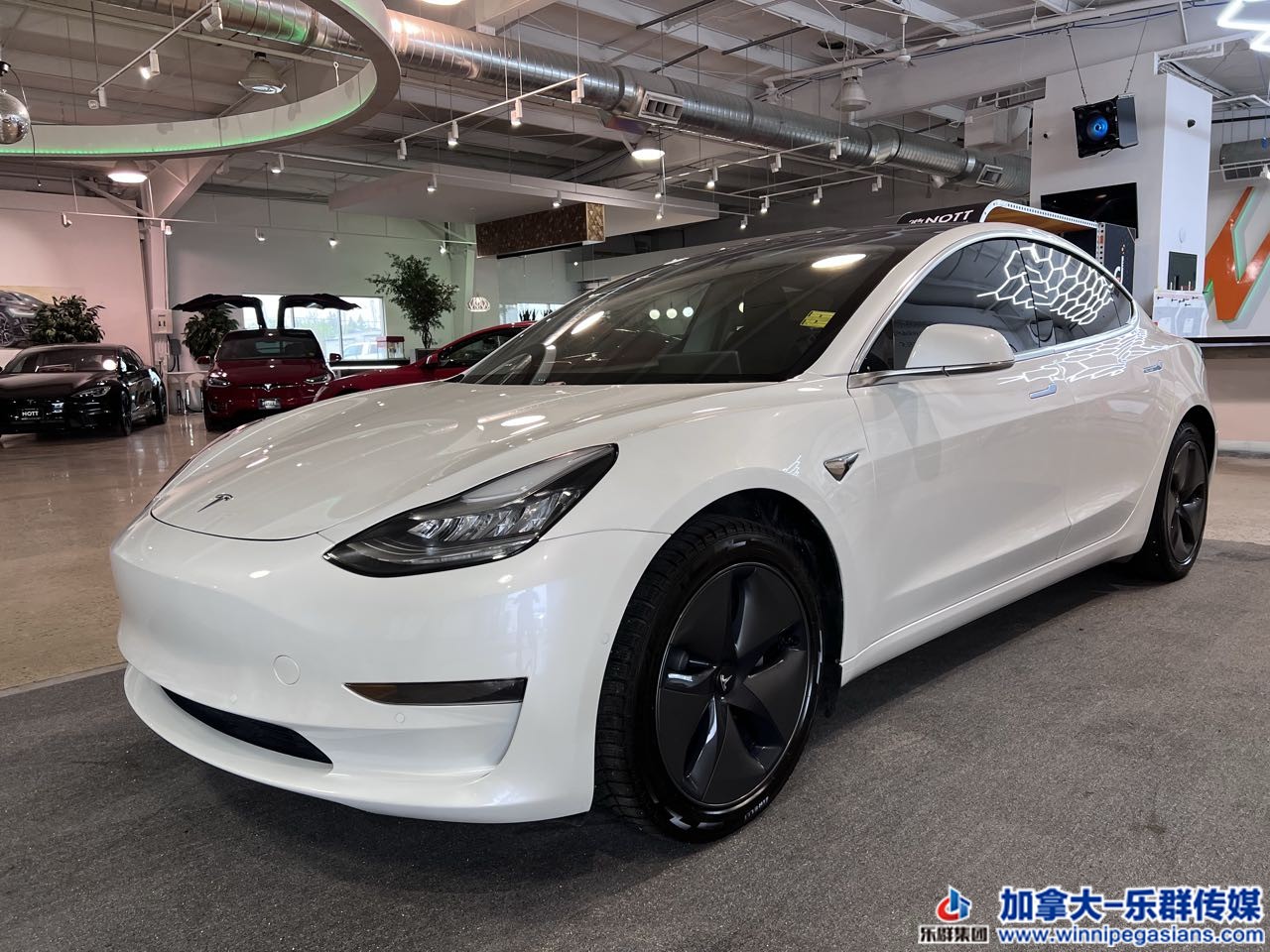 tesla_model3_7284_1.jpg