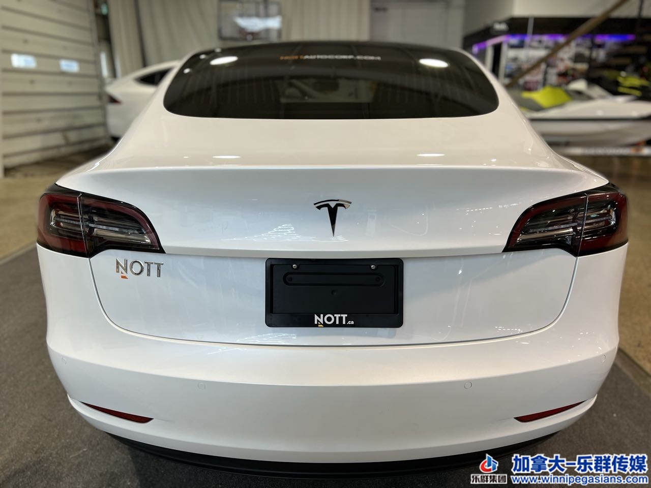 tesla_model3_7284_16.jpg