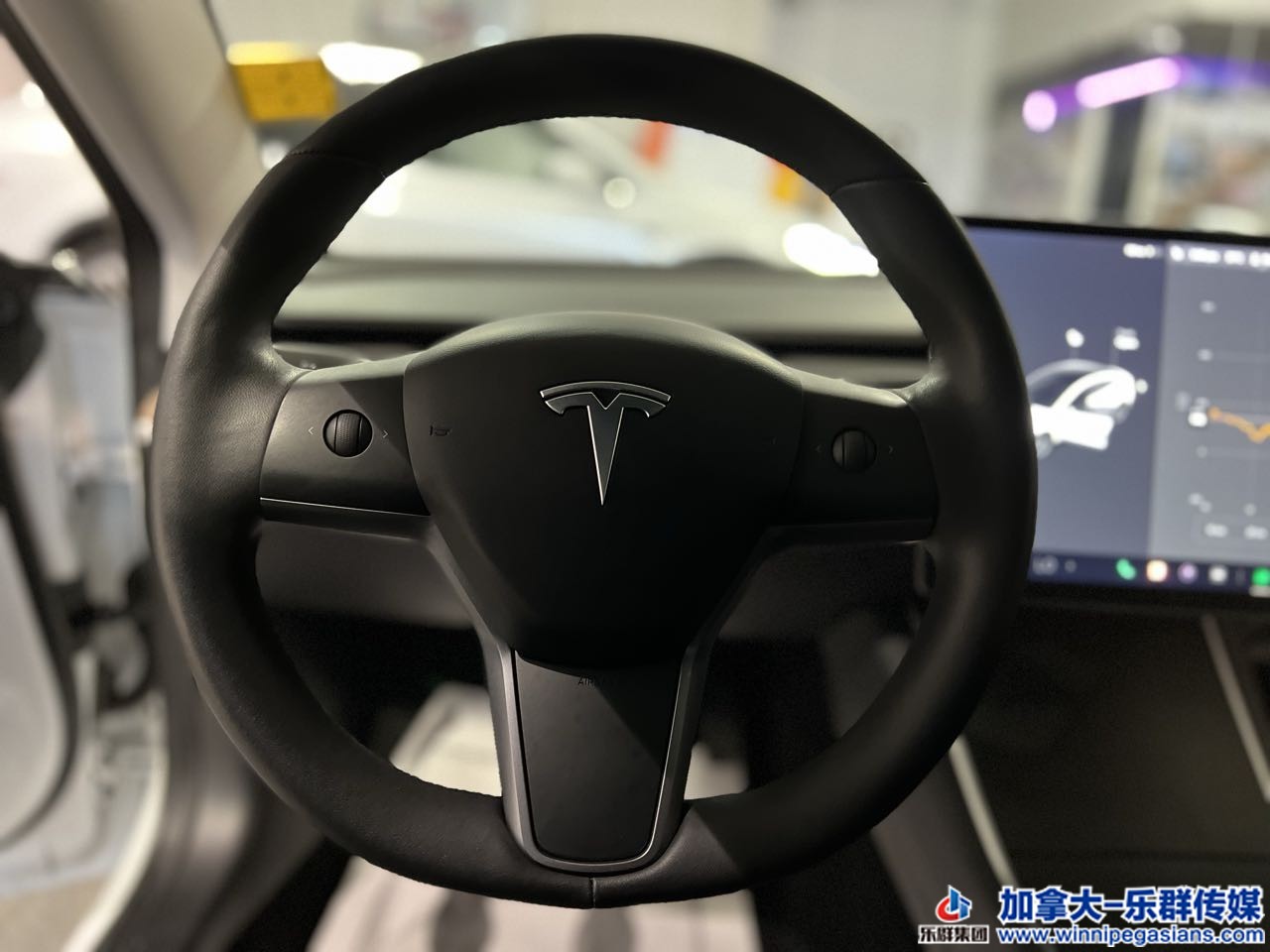 tesla_model3_7284_7.jpg