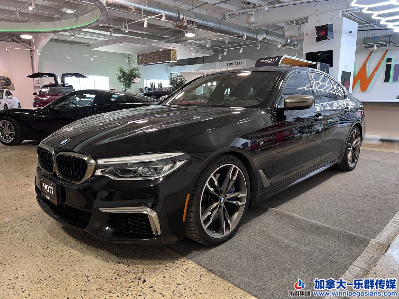 bmw_m550i_c7317_2.jpg