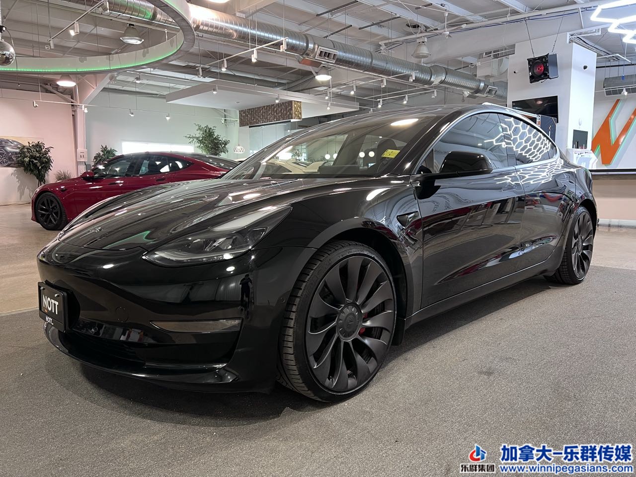 tesla_model3_7282_1.JPG