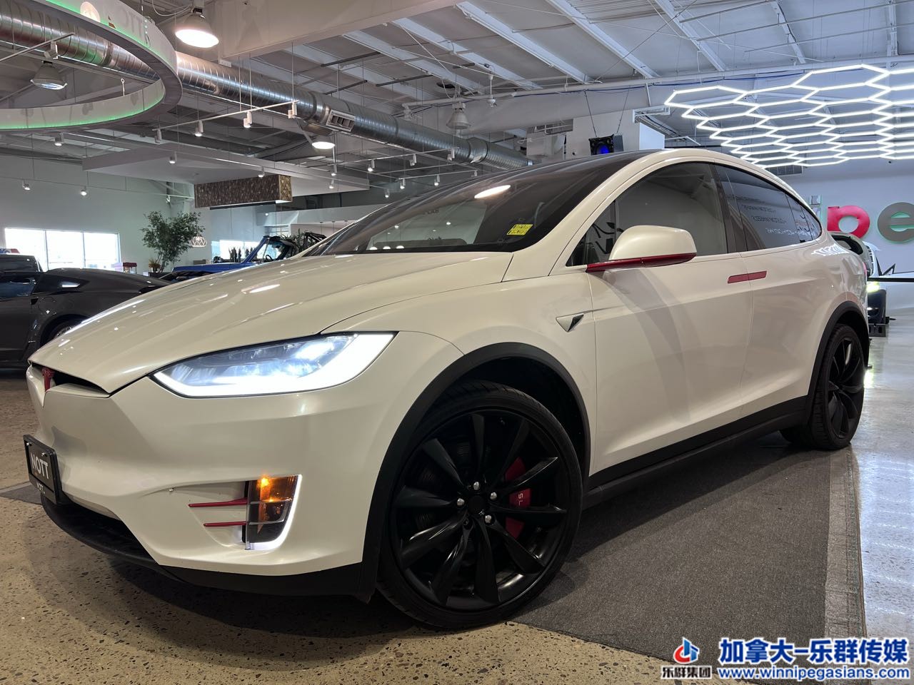 tesla_modely_7191a_1.jpg