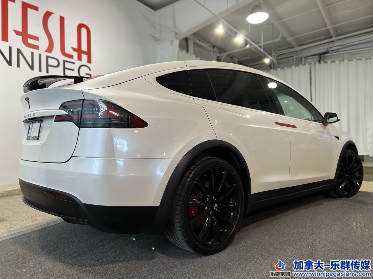 tesla_modely_7191a_5.jpg