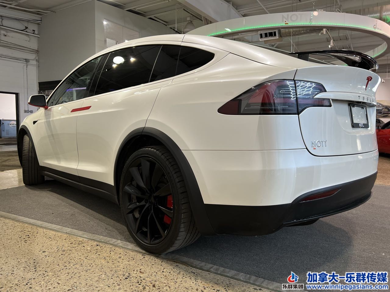 tesla_modely_7191a_6.jpg