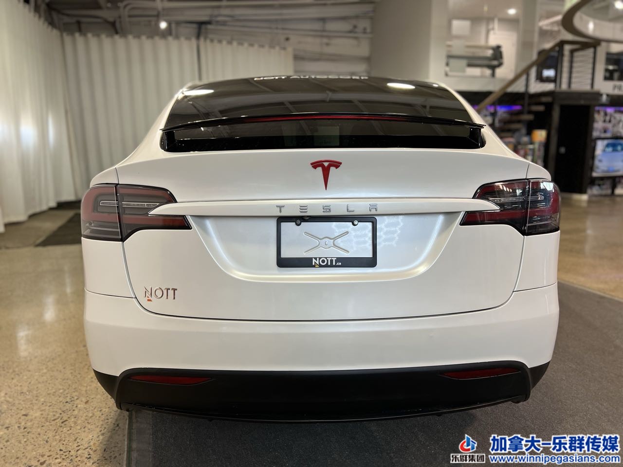 tesla_modely_7191a_7.jpg