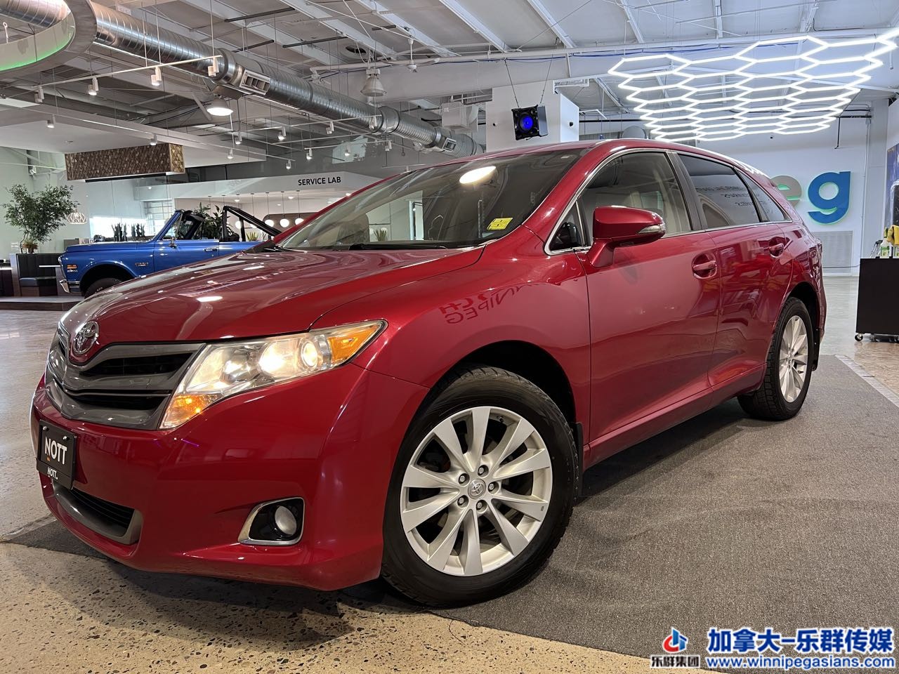 toyota_venza_7313_1.jpg