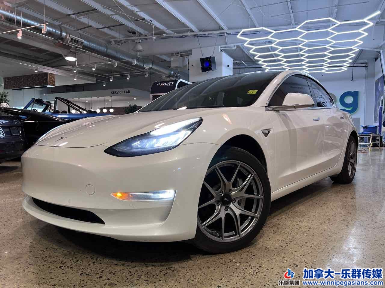 tesla_model3_7339_1.jpg