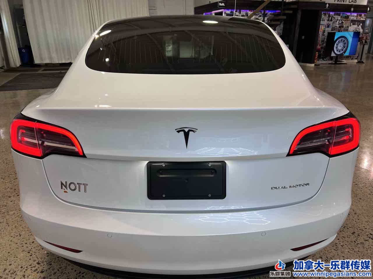 tesla_model3_7339_6.jpg