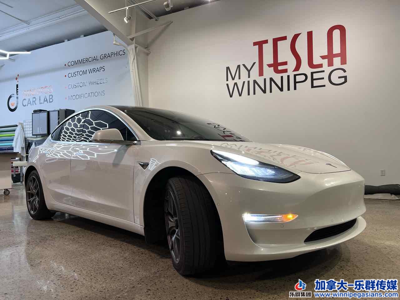 tesla_model3_7339_2.jpg