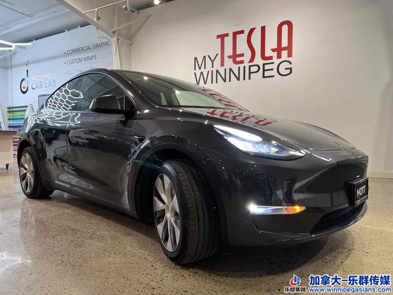 tesla_modely_7342_2.jpg