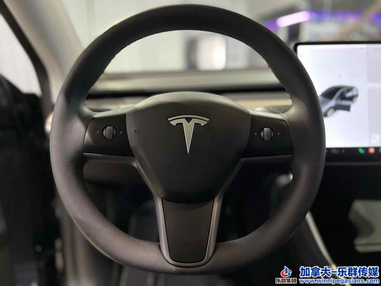 tesla_modely_7342_8.jpg