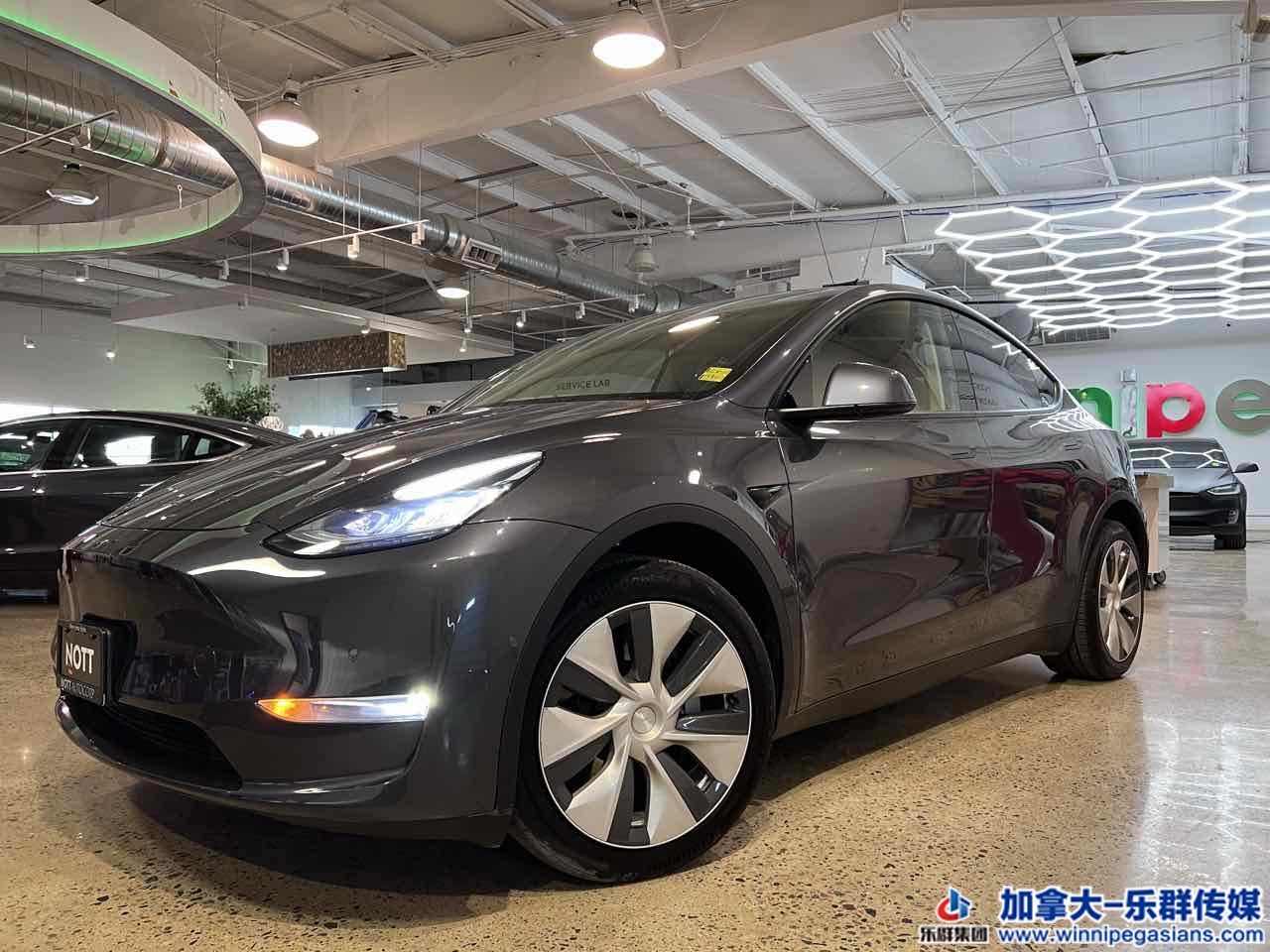 tesla_modely_7342_1.jpg