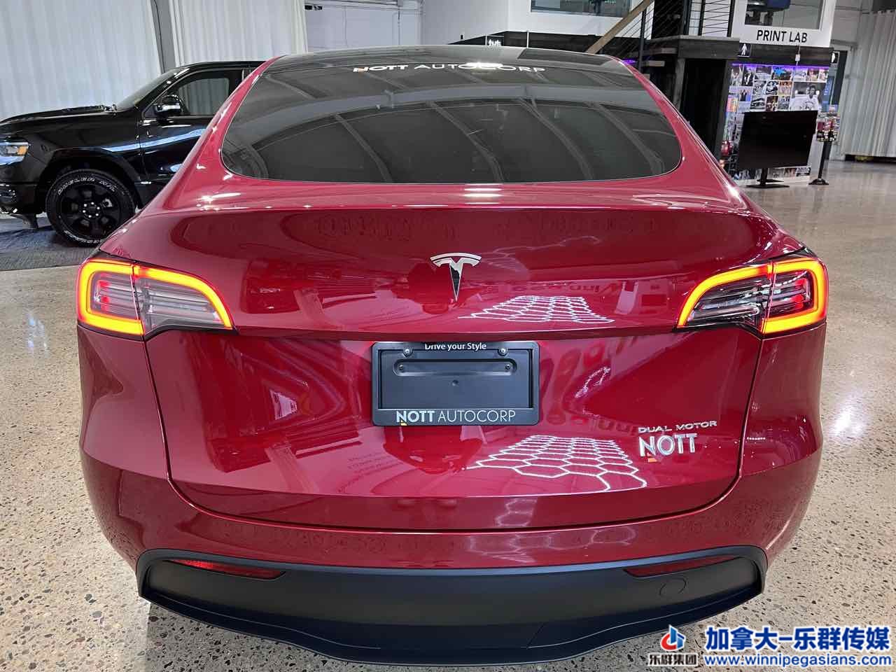 tesla_modely_7332_6.jpg