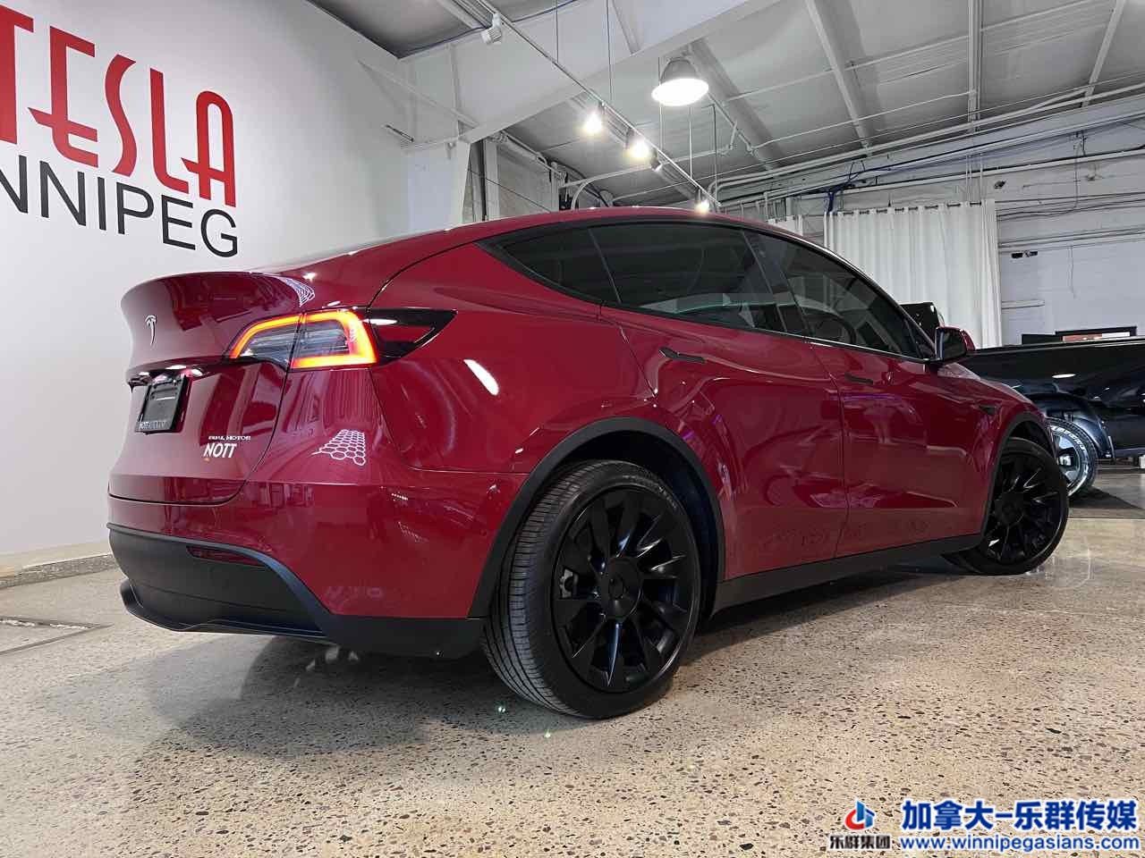 tesla_modely_7332_4.jpg