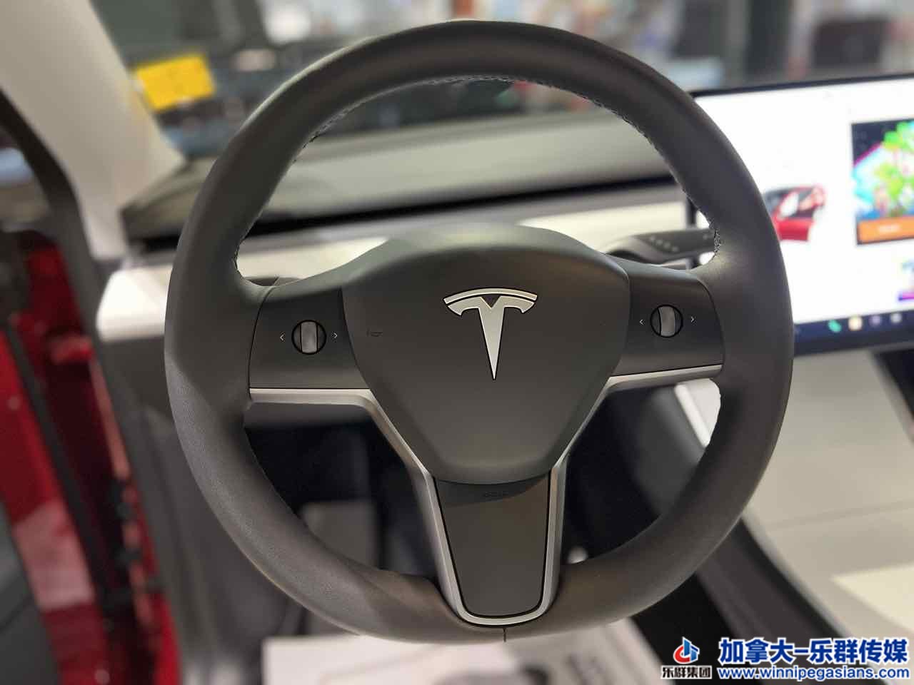 tesla_modely_7332_9.jpg