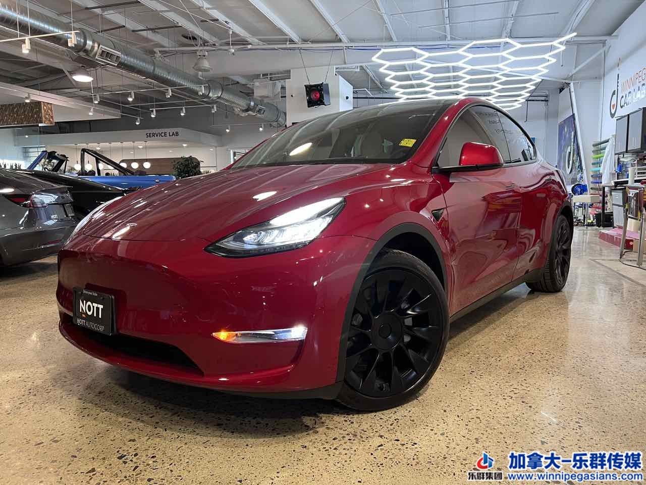 tesla_modely_7332_1.jpg