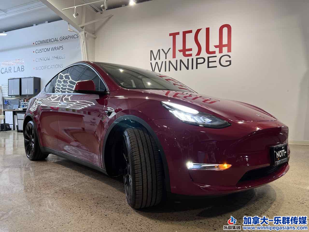 tesla_modely_7332_2.jpg