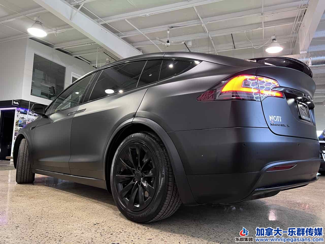 tesla_modelx_7135b_6.jpg