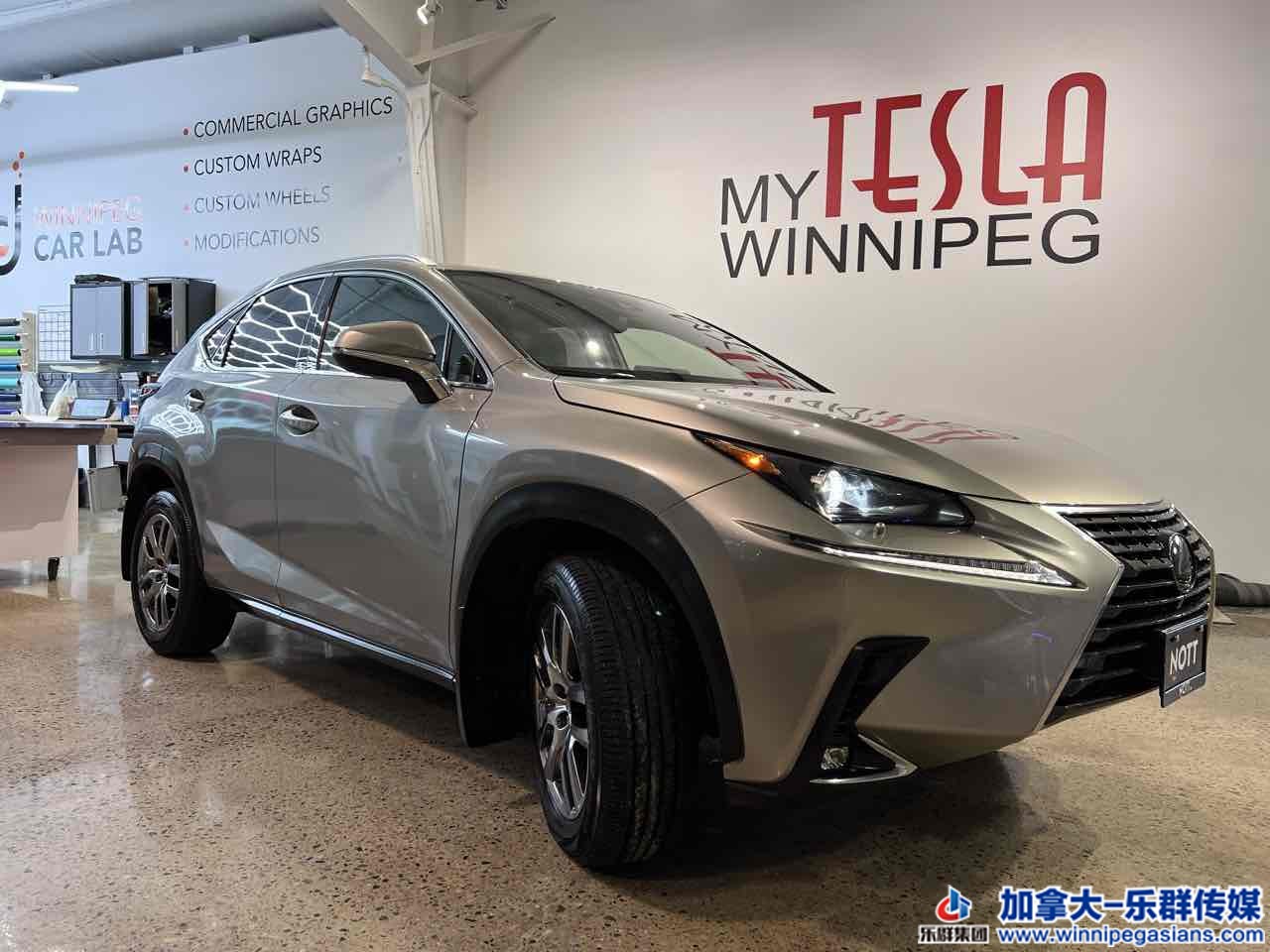 lexus_nx300_7338_2.jpg