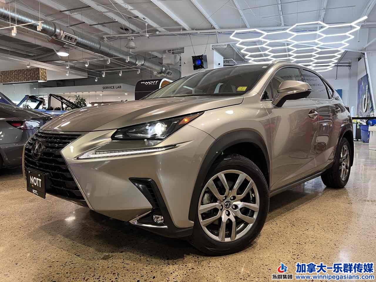 lexus_nx300_7338_1.jpg