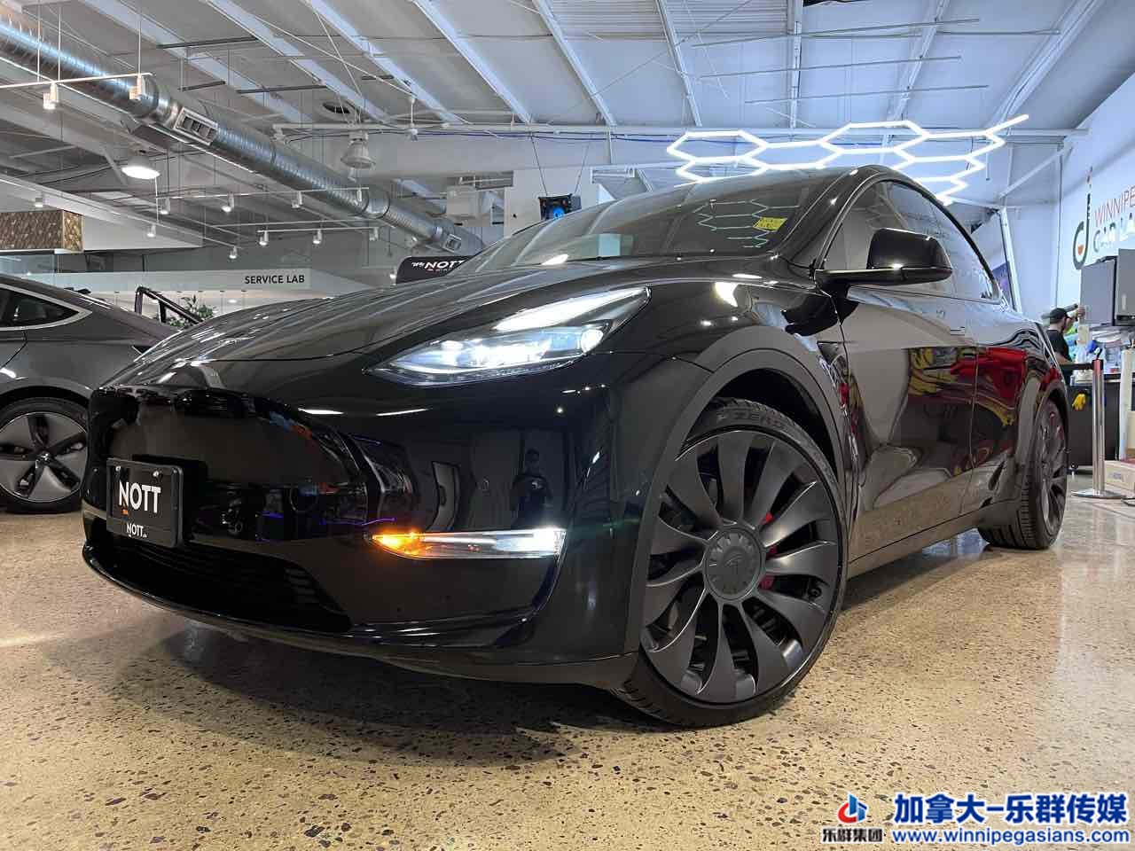 tesla_modely_7335_1.jpg