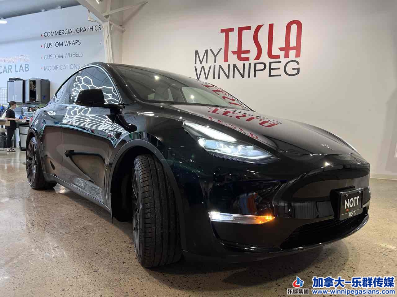 tesla_modely_7335_2.jpg