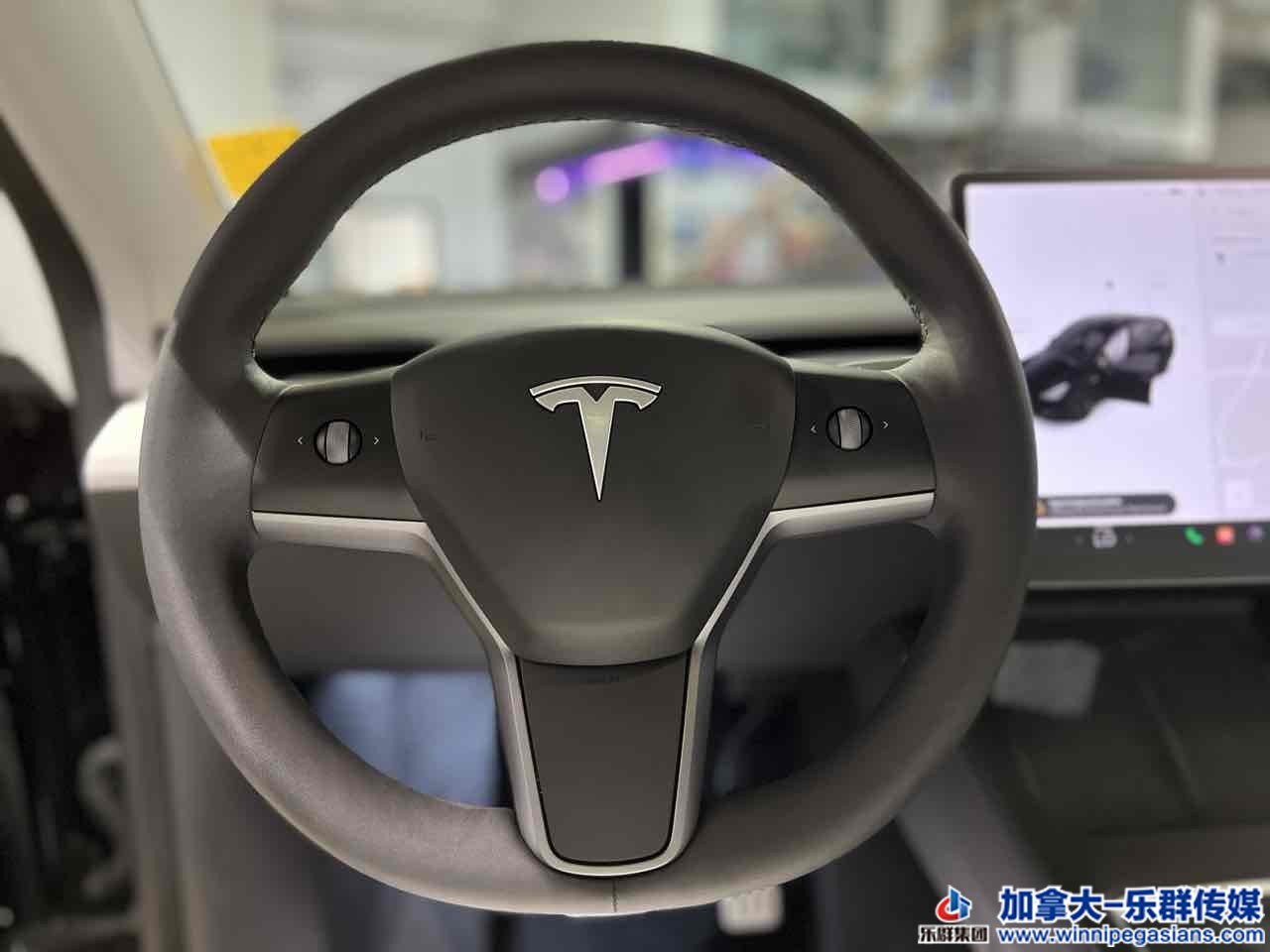 tesla_modely_7335_12.jpg